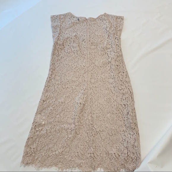 Lover the Label Blush Lace Dress 4 - Picture 7 of 12